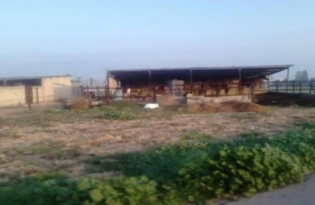 Πύργος: Βρήκαν ποιοι δολοφόνησαν τον 77χρονο