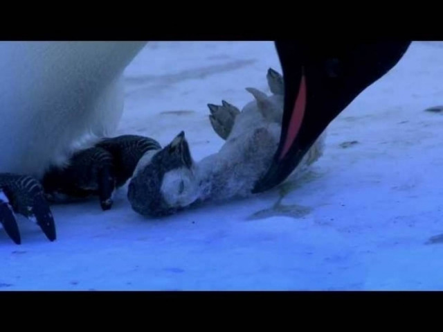 ΣΥΓΚΙΝΗΤΙΚΟ VIDEO: Πως είναι όταν χάνει η μάνα το παιδί της!