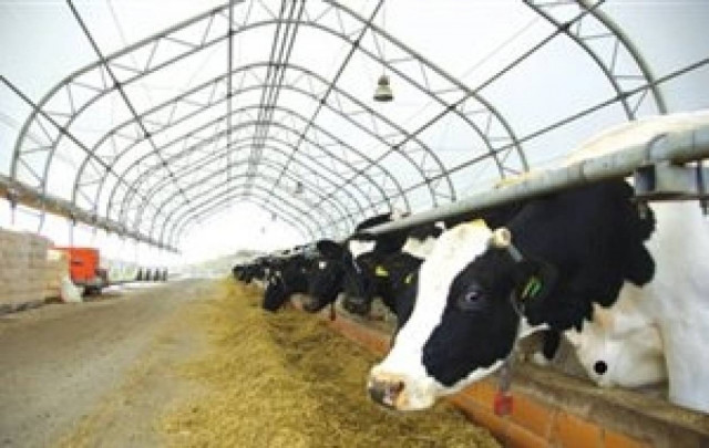 Επένδυση στην εκπαίδευσή τους επιθυμούν οι νέοι κτηνοτρόφοι