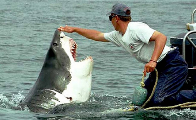 Video: Ο πιο τυχερός ψαράς του κόσμου