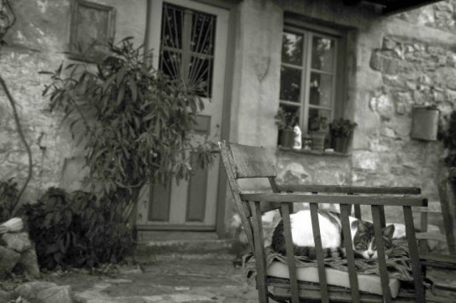 Χαλκίδα: Την βρήκε νεκρή ο αδερφός της!