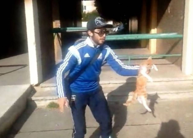 Στη φυλακή 24χρονος που κακοποίησε γάτα και το κατέγραψε σε βίντεο