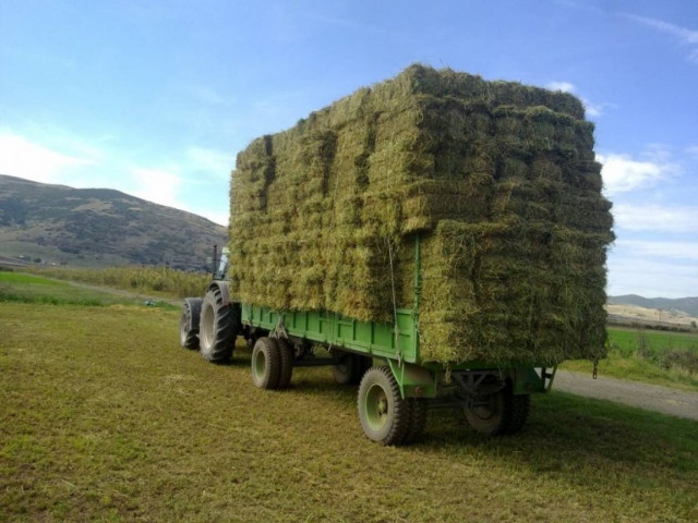Κιλκίς: Κλέφτες αφαίρεσαν 40 μπάλες τριφύλλι από χωράφι!