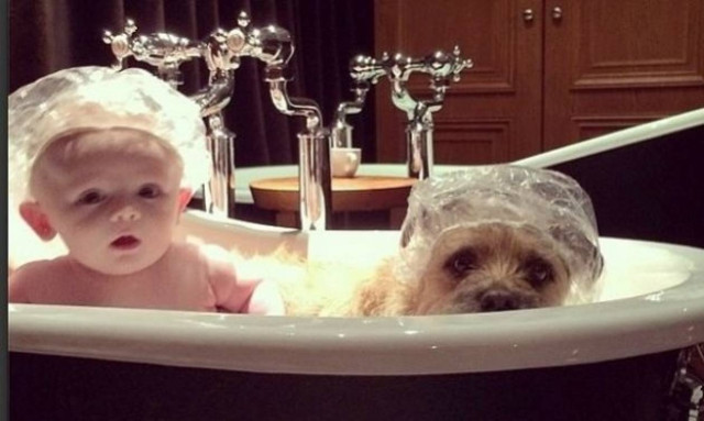 Το μωρό και ο σκύλος που έγιναν οι καλύτεροι φίλοι! (εικόνες+βίντεο)