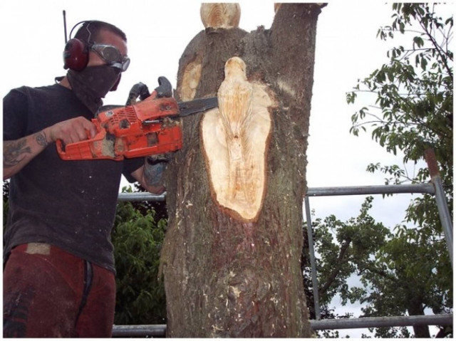 «Αλωνίζουν» οι λαθροϋλοτόμοι στην Αττική