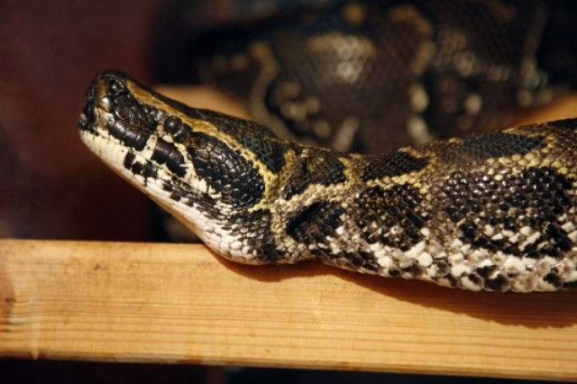 Έφτασε μέχρι τον Άρειο Πάγο επειδή αποκάλεσε την πεθερά του...