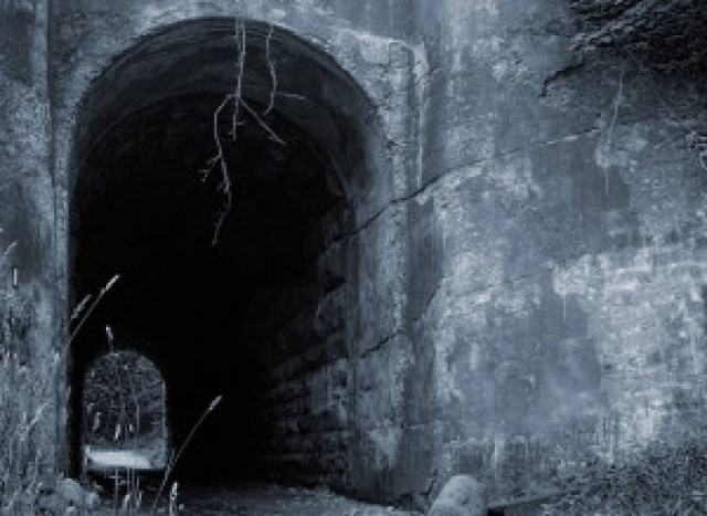 Αστυνομικοί τα έχασαν όταν έμαθαν ότι οι τρομακτικές κραυγές ήταν...