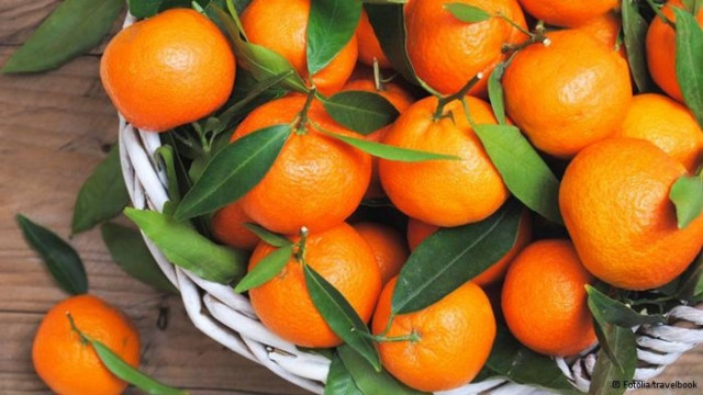 DW: Ελληνικά φρούτα και λαχανικά στο Βερολίνο