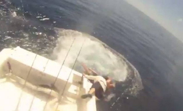Το ψάρι ανέβηκε στο σκάφος και έριξε τους ψαράδες στη θάλασσα