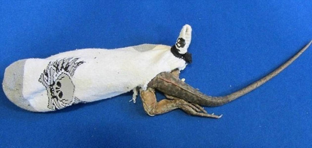 Απίστευτο: Προσπάθησαν να περάσουν από τον έλεγχο του αεροδρομίου 13…