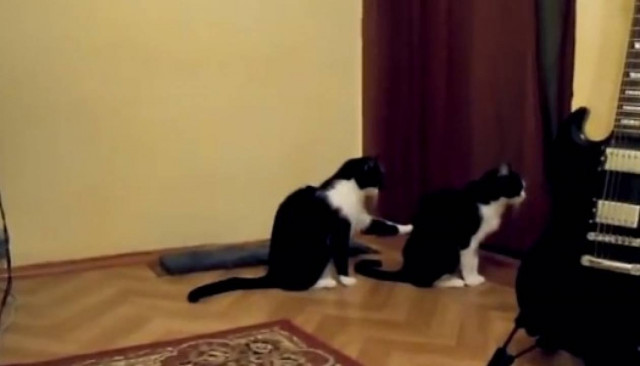 Βίντεο που σαρώνει: Αρνήθηκε τη συγνώμη της και τότε... δείτε τι έκανε