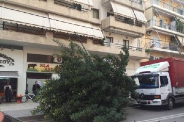 Φορτηγό παρέσυρε δέντρο! (pic)