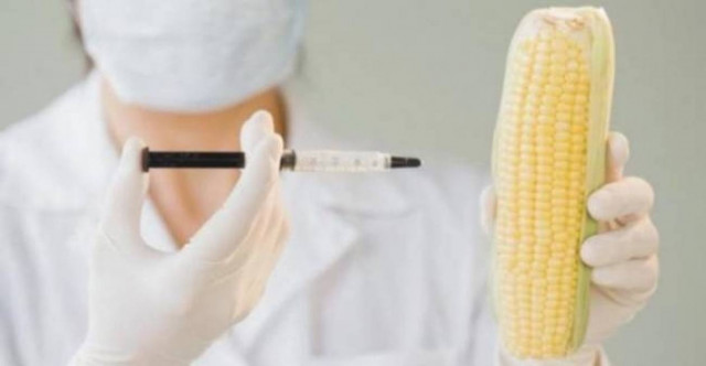 Σύμφωνη η ΕΕ με την Ελλάδα για εκ νέου συζήτηση για τα μεταλλαγμένα