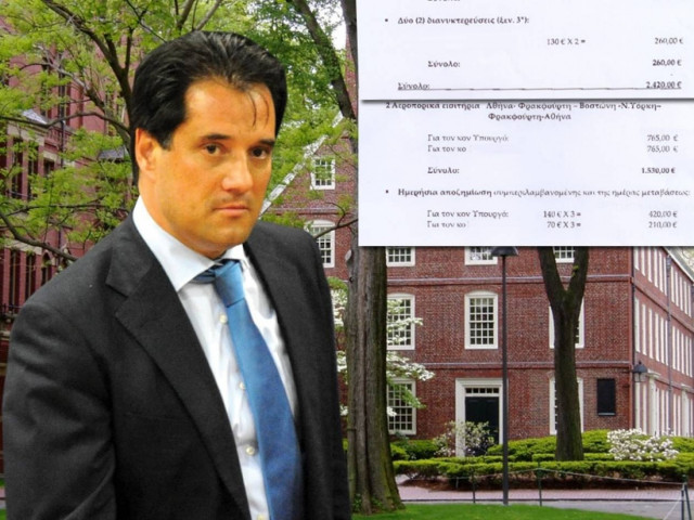 Άδωνις: Μετά το Χάρβαρντ, τι;