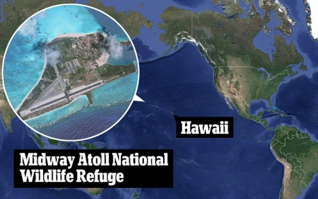 Είναι 63 ετών και γέννησε για 35η φορά