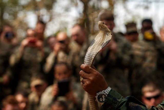 ΣΚΛΗΡΕΣ ΕΙΚΟΝΕΣ: Στρατιώτες πίνουν αίμα κόμπρας για να επιβιώσουν