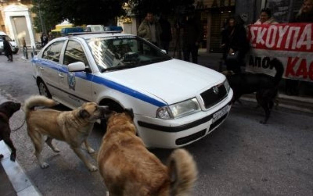 Αδέσποτοι σκύλοι εναντίον... περιπολικού! (pics)