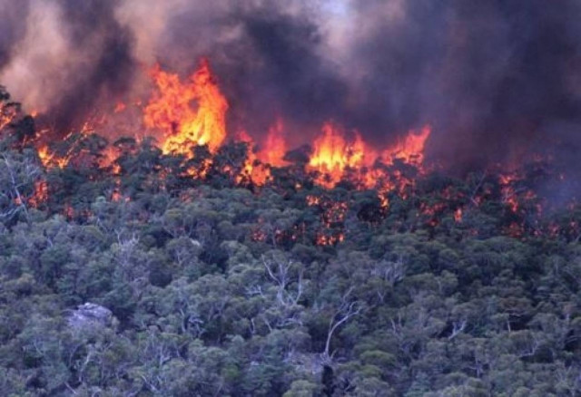 Φωτιά στην περιοχή Βαντές στα Χανιά
