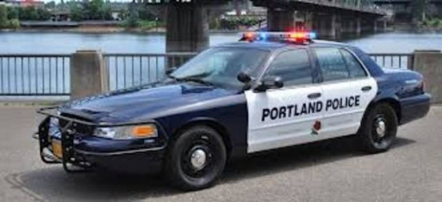 Μπήκε σε περιπολικό για να ζεσταθεί και.. κλειδώθηκε! (vid)