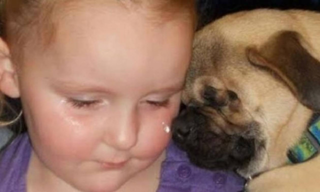 Ξάντερ, το σκυλί που έχει αφιερώσει τη ζωή του στα κακοποιημένα παιδιά