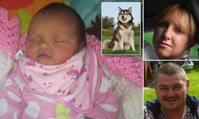 Τραγωδία: Βρήκαν το κατασπαραγμένο βρέφος μέσα στην κούνια