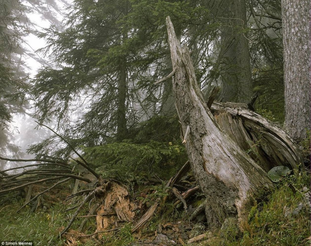 ΔΥΣΚΟΛΟ ΤΕΣΤ-Βρείτε τον καμουφλαρισμένο στρατιώτη στο τοπίο (Part 2)