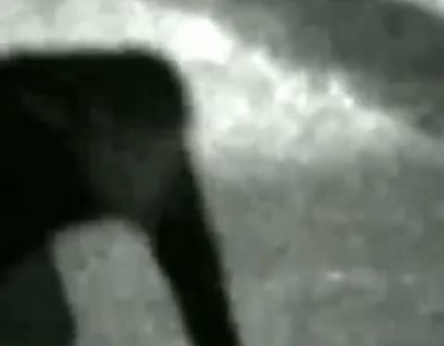 Βίντεο με λυκάνθρωπο στη Βραζιλία κάνει τον γύρο του κόσμου