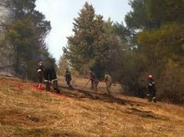 Δύο φωτιές στην Καστοριά