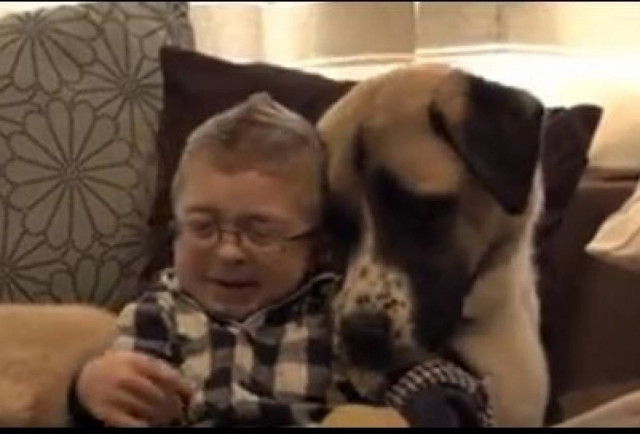 Μαζί στα δύσκολα: Η φιλία που συγκίνησε 1,5 εκατ. ανθρώπους (vid)