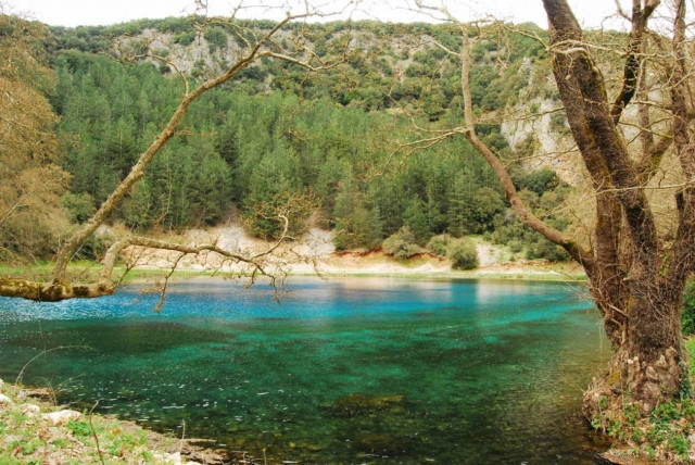 Ήπειρος: Αυτοκίνητο έπεσε σε ποτάμι - Σώοι οι επιβαίνοντες