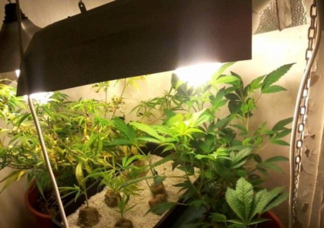 Ρόδος: Έκανε το σπίτι του... θερμοκήπιο για κάνναβη