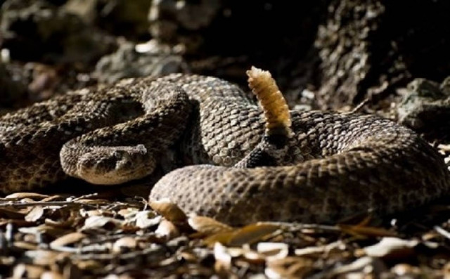 Τι φοβόμαστε εκ γενετής