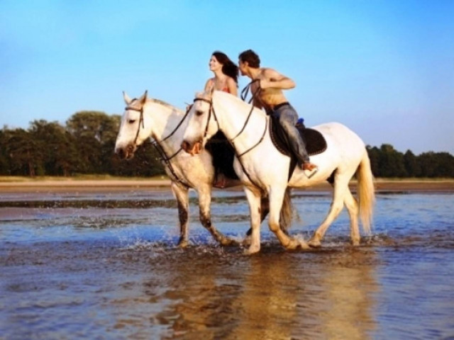 Με ποιά ζώδια ταιριάζουν οι Τοξότες;