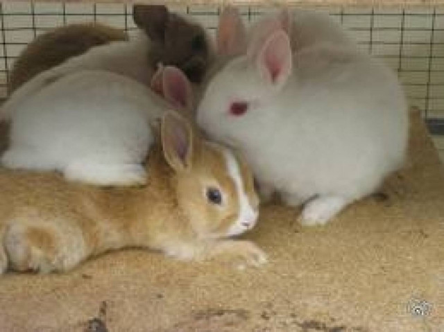 Έπιασε τη γυναίκα του να κάνει σεξ με τον καλύτερο του φίλο στο...