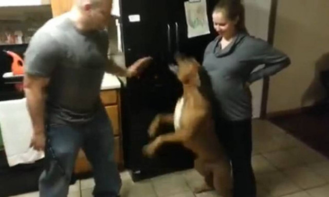 Ο καλύτερος φύλακας για το αγέννητο μωρό της!