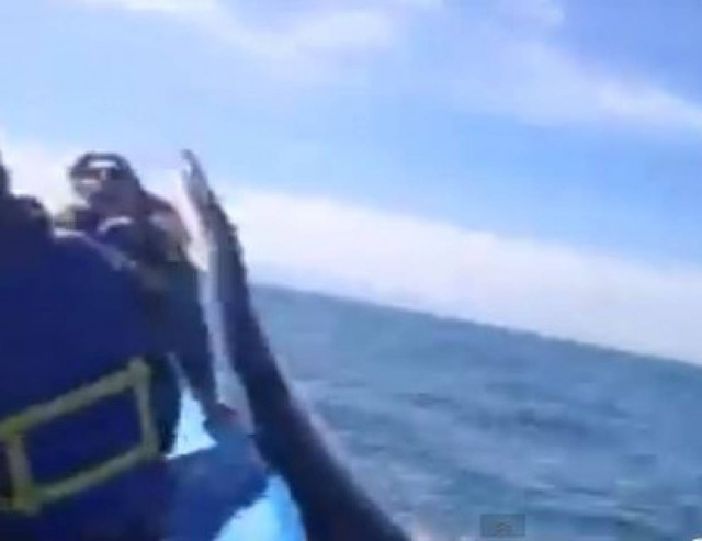 Φάλαινα χαστουκίζει… γυναίκα! (vid)