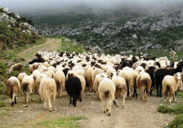 Συναντήσεις με τους αρχηγούς των κομμάτων ζητεί η Ένωση Κτηνοτρόφων