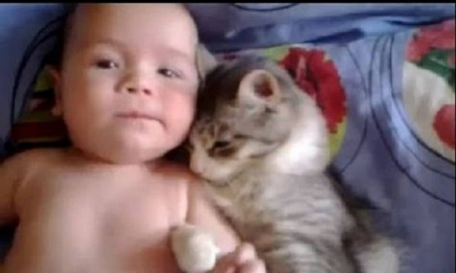 Πόσο τρυφερό! Δείτε τι κάνει μία γάτα σε ένα μωρό που είναι ξαπλωμένο