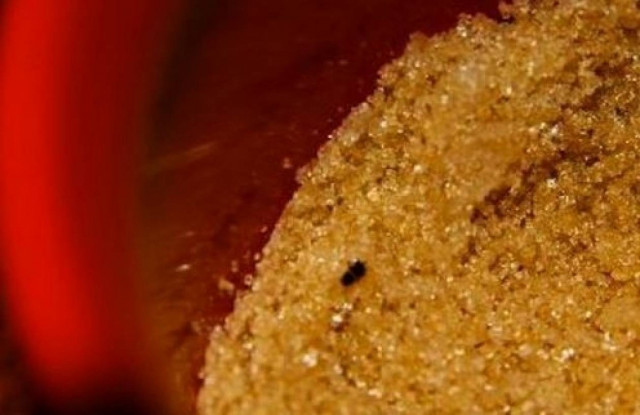 Ένας... μοσχομυριστός τρόπος να προστατέψετε τη ζάχαρή σας