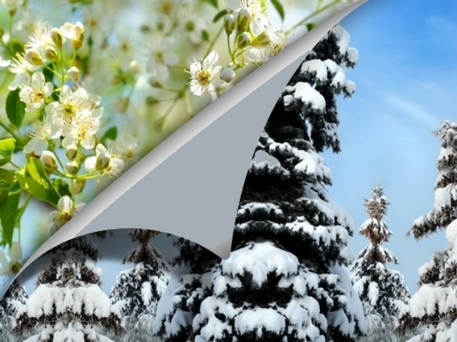 What's in the Stars today, February 28?