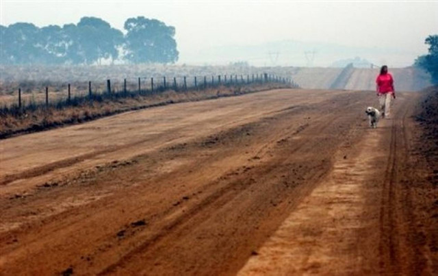Έβγαλαν βόλτα το σκύλο τους και έγιναν πλούσιοι! Δείτε πώς...