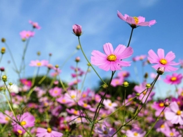 Οι τυχερές και όμορφες στιγμές της ημέρας: Σάββατο 1η Μαρτίου