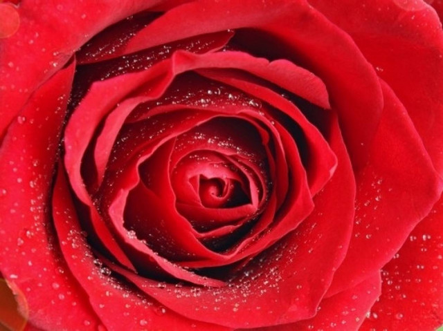 What's in the Stars today, March 2?