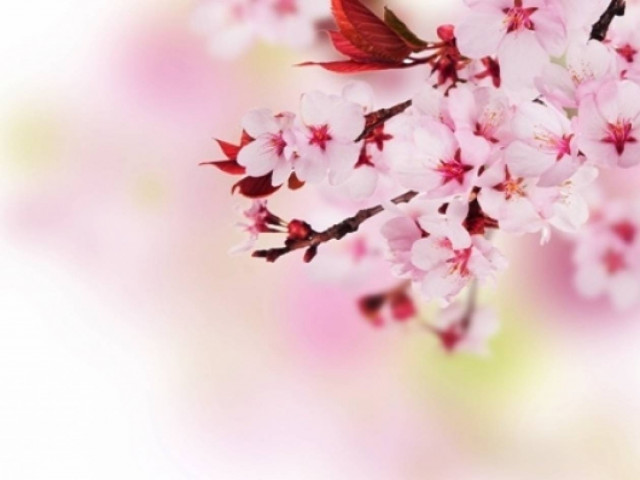 Οι χρησμοί του Μαρτίου για την Ελλάδα