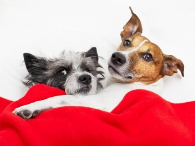 Ερωτικό ωροσκόπιο 2/3