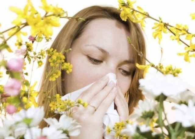 H σεζόν των αλλεργιών