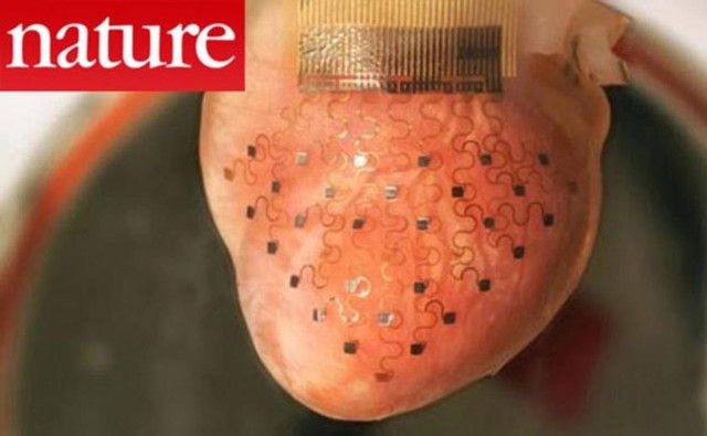 Η μεμβράνη που δεν αφήνει την καρδιά να σταματήσει να χτυπά! (Video)