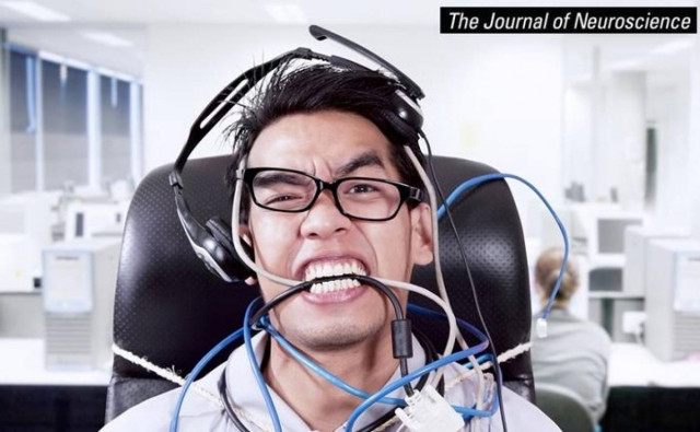 Η πιο παράδοξη «παρενέργεια» του στρες