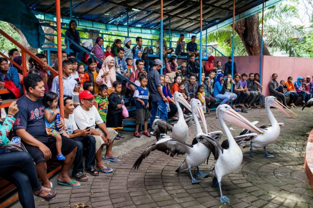 Ο ζωολογικός κήπος του θανάτου