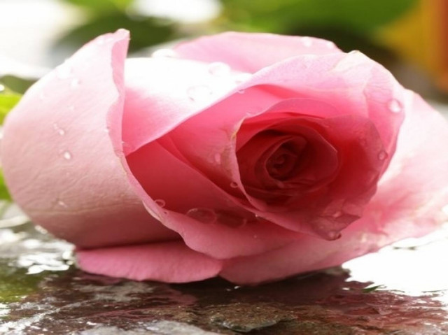 What's in the Stars today, March 6?